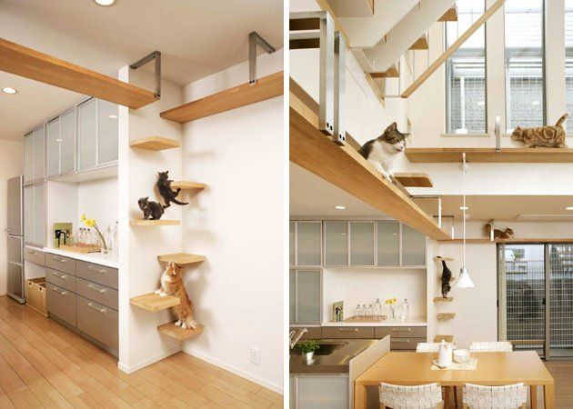 Les chats adorent être en hauteur. Voici un exemple de la maison idéale pour chat, avec des emplacements un peu partout pour eux en hauteur.