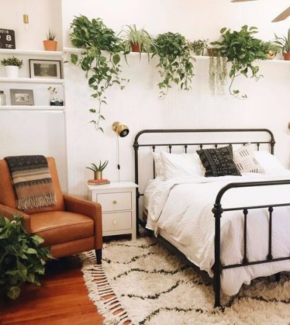 Chambre décorée avec des plantes