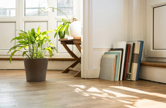 Gros plan sur un coin de pièce, avec parquet en bois, plante verte et livres